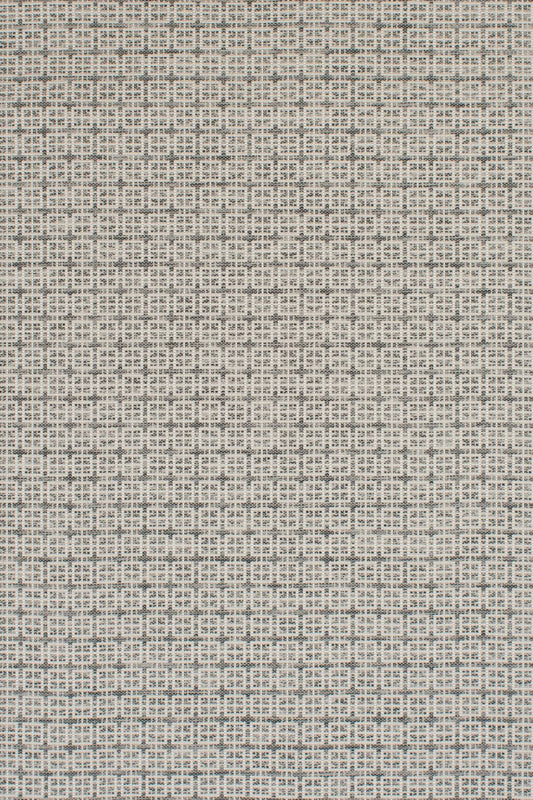 T01005778_ALT2