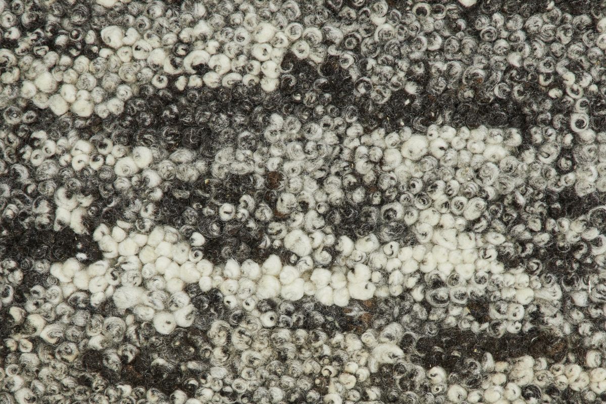 T01009918_CL