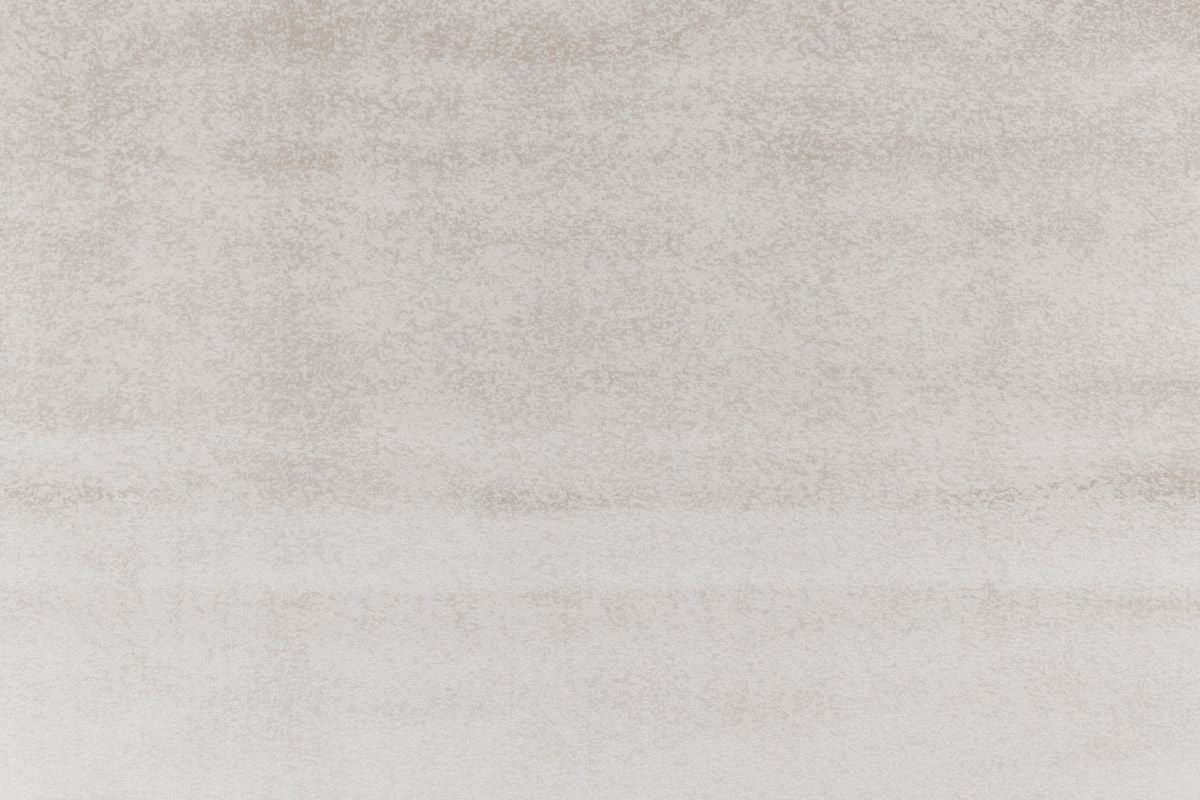 T01010180_ALT2