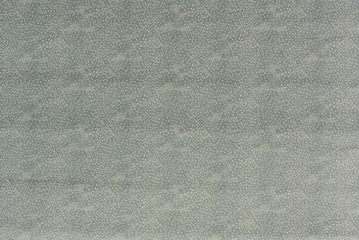 T01016438_ALT2