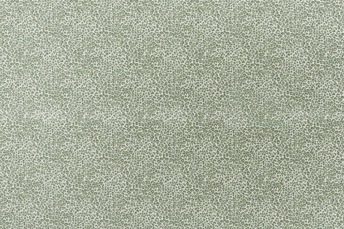 T01016847_ALT2